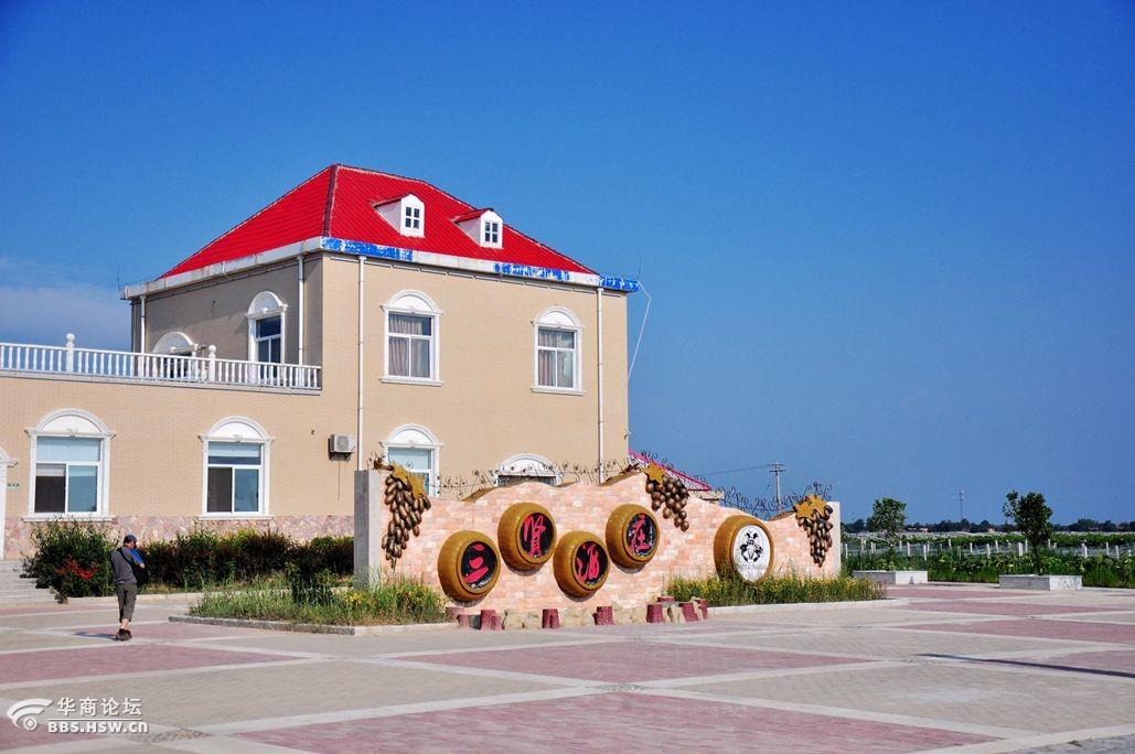 酷夏渭北葡萄产业园品葡萄美酒和美味葡萄