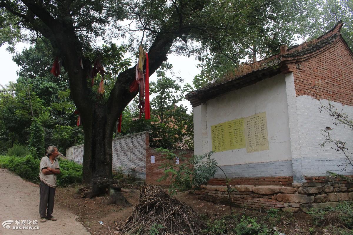 百年皂角树和关公庙