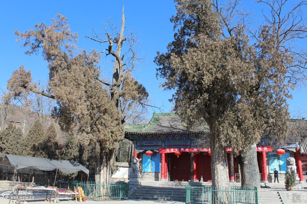 游周公故里赏西岐凤鸣湖品红梅辣子面