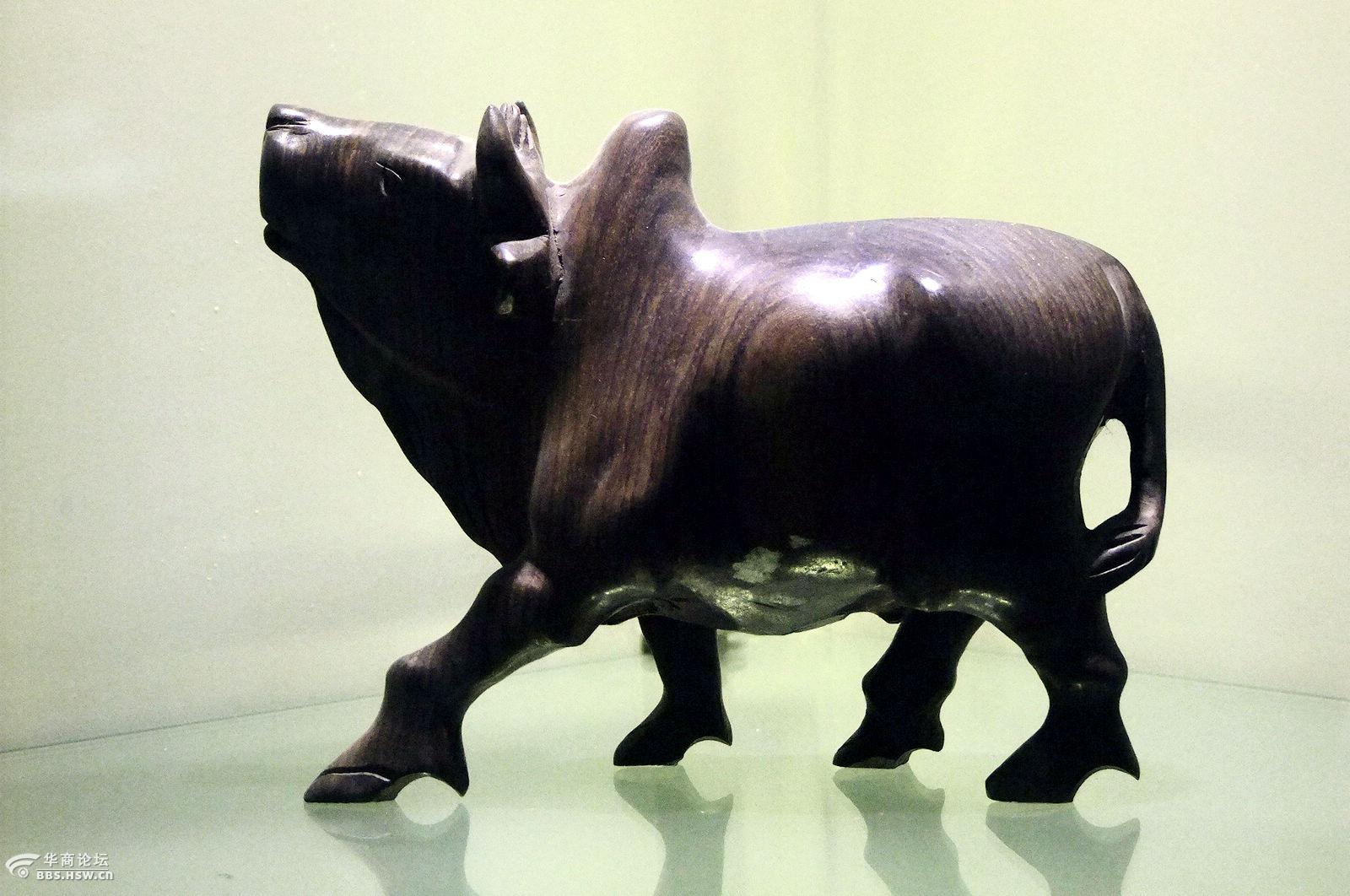 经文牛文化收藏品展览随拍