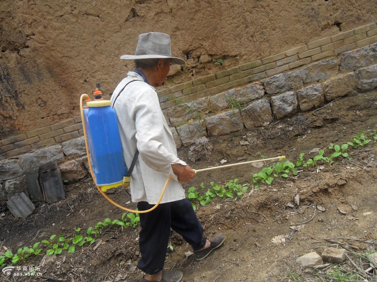 93岁的老人在打农药