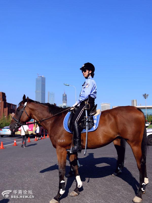 马背上的玫瑰---大连女骑警-全民乱拍-华商论坛