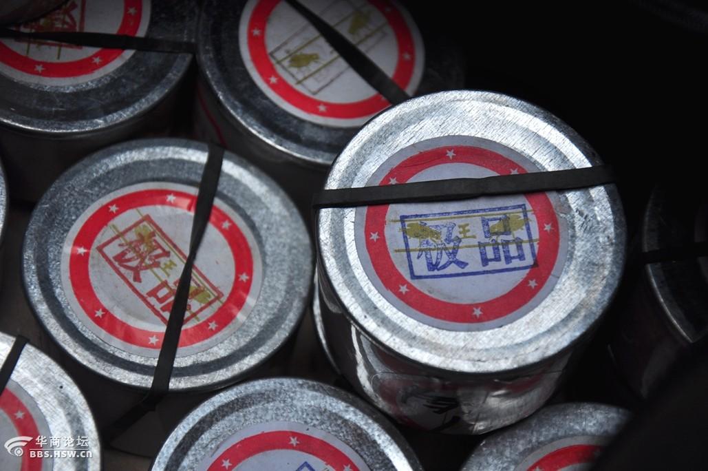 一组蟋蟀虫王争霸斗蟋蟀