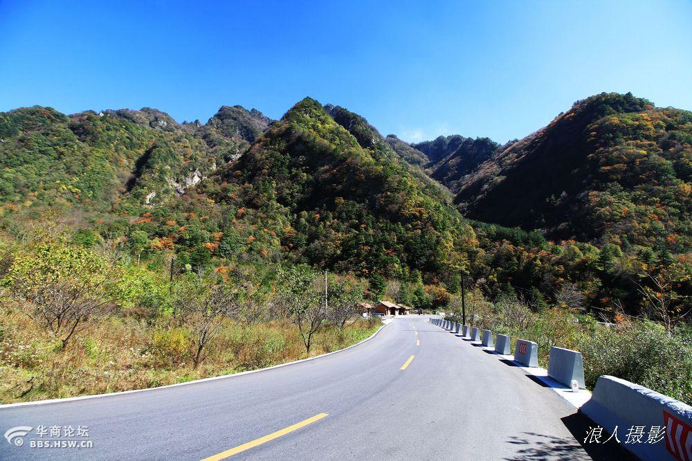 大美210国道秦岭段已是层林尽染