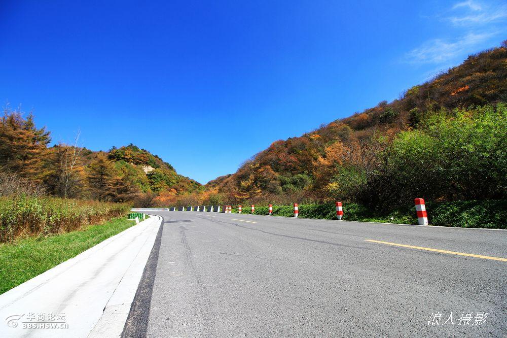 大美210国道秦岭段已是层林尽染