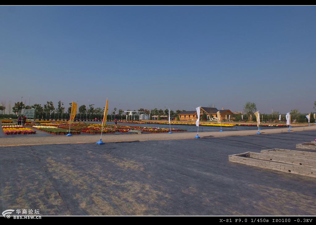 咸阳摆旗寨塬上赏花(后续)