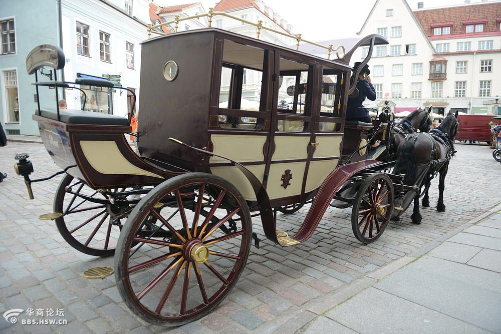 塔林女驭手驾驶古典马车严建设nordiceurope91