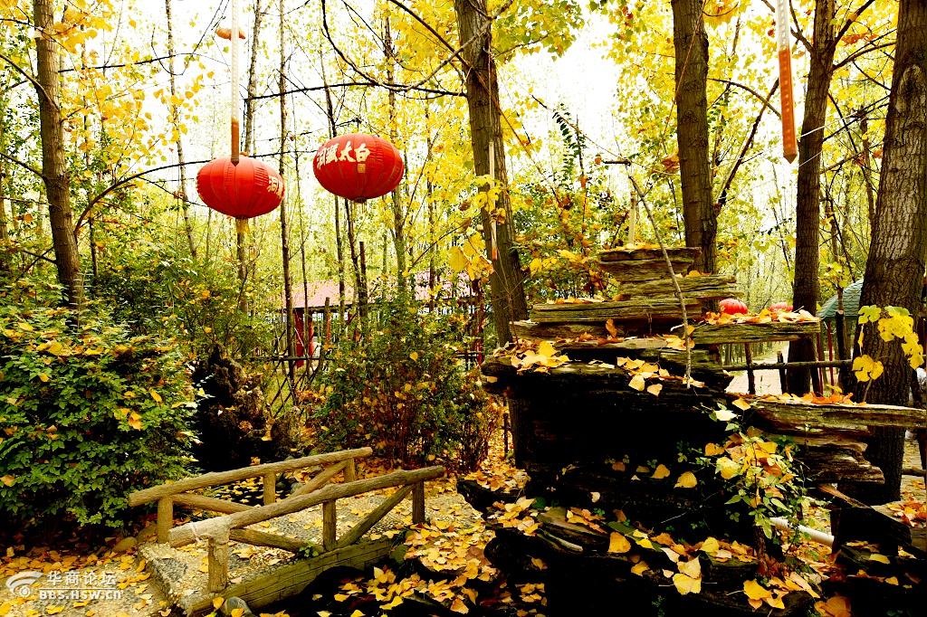 美丽西安杜陵秋色美如画