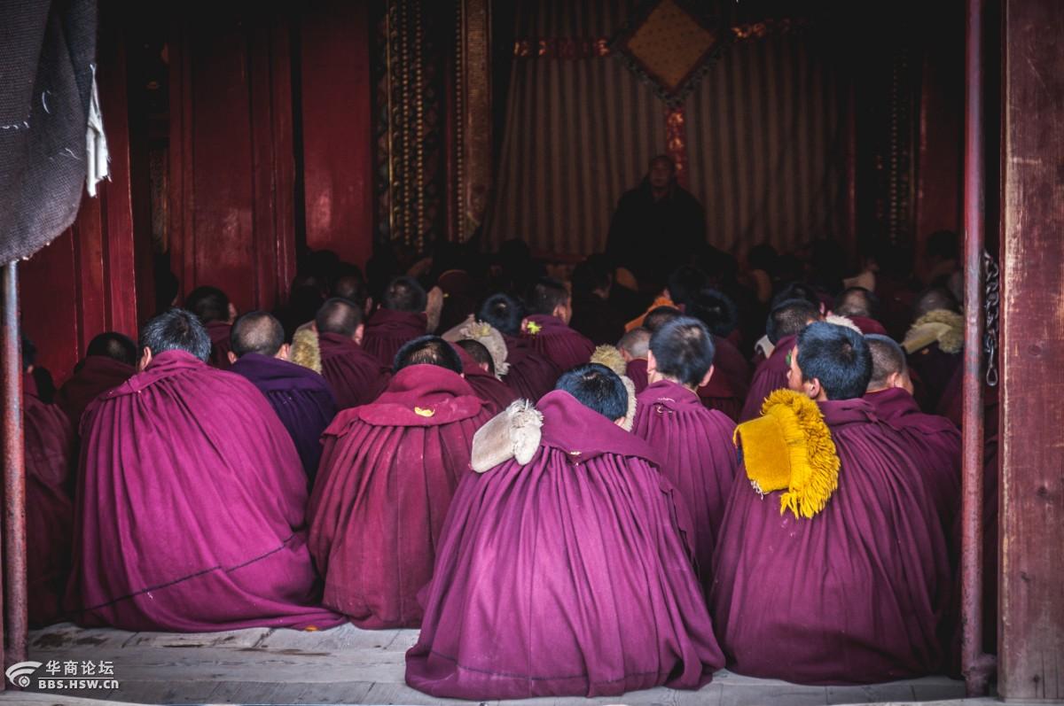 正在念经的喇嘛们