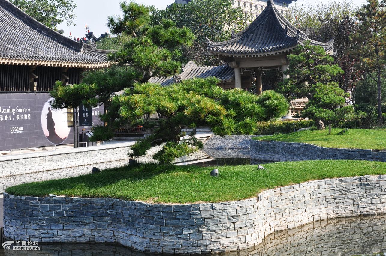 松园-西安论坛-华商论坛