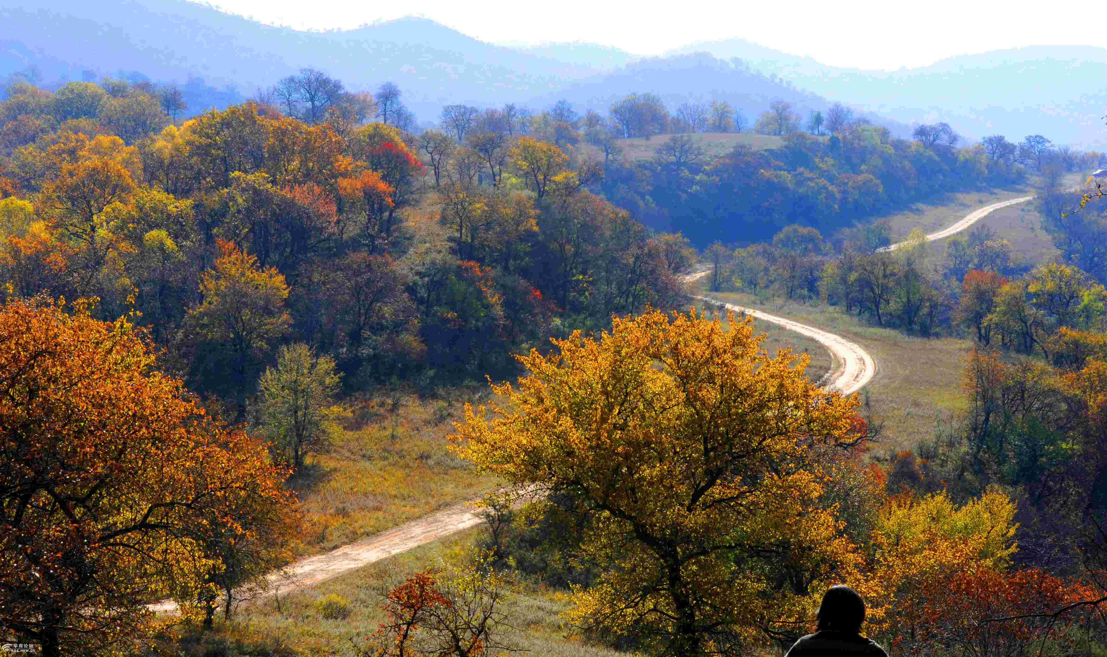 陕北金秋秦直道二
