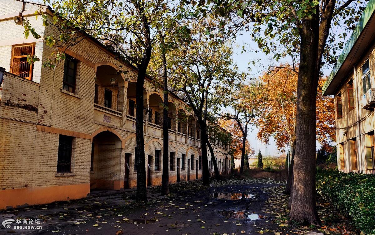 泾阳县永乐中学关闭了,秋色依旧美得很