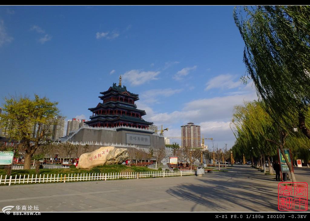 华商论坛咸阳社区(51鲜茶论坛)