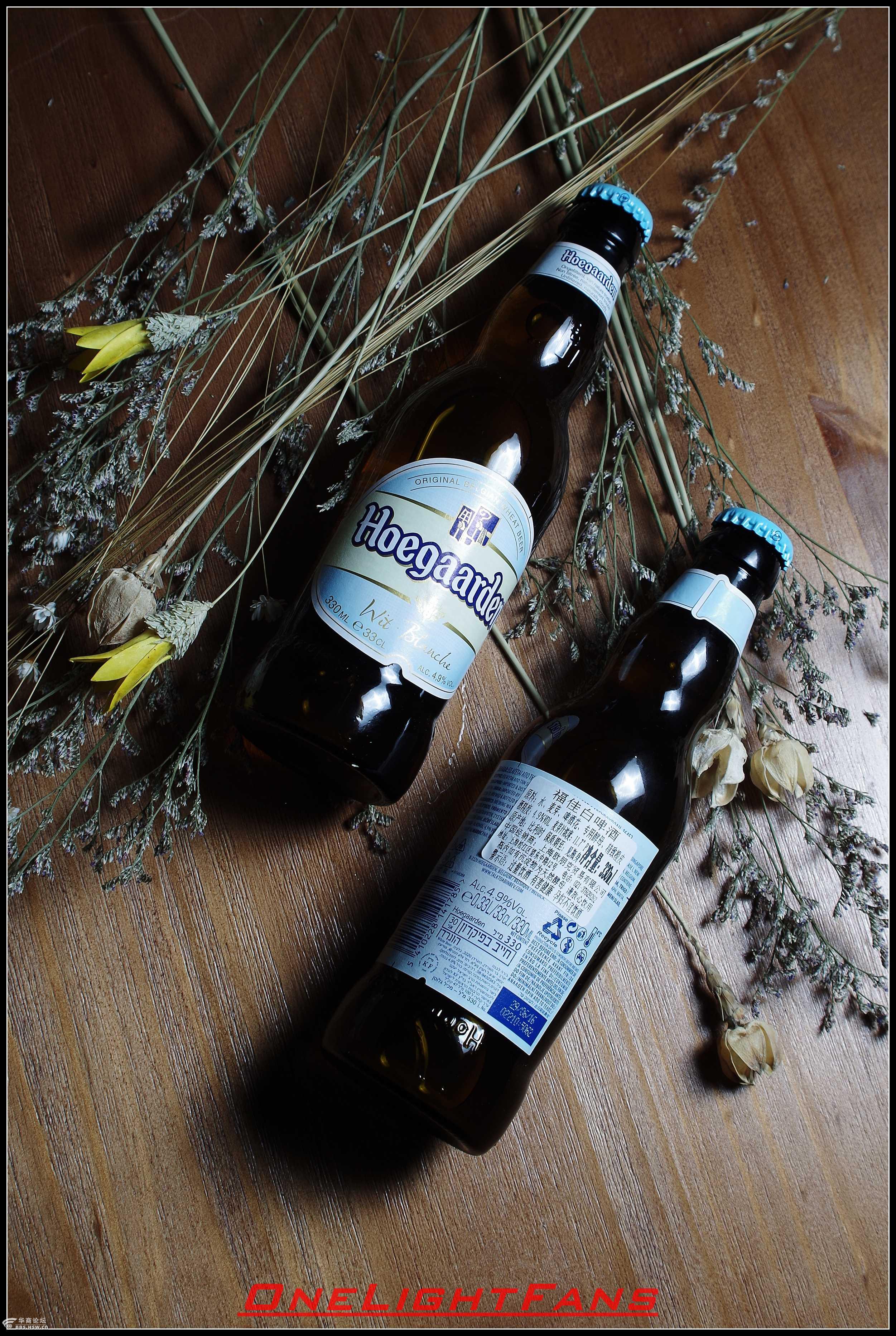 火星上的小杨烧烤aplus