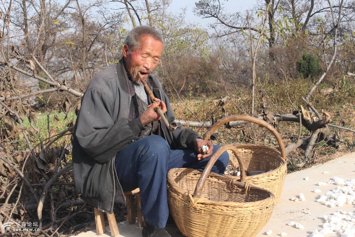 走上白鹿原北坡【满坡村】-西安论坛-华商论坛