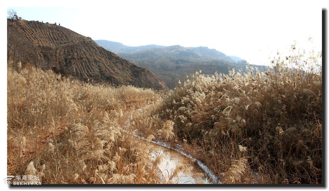 穆柯寨那片丹霞与芦苇