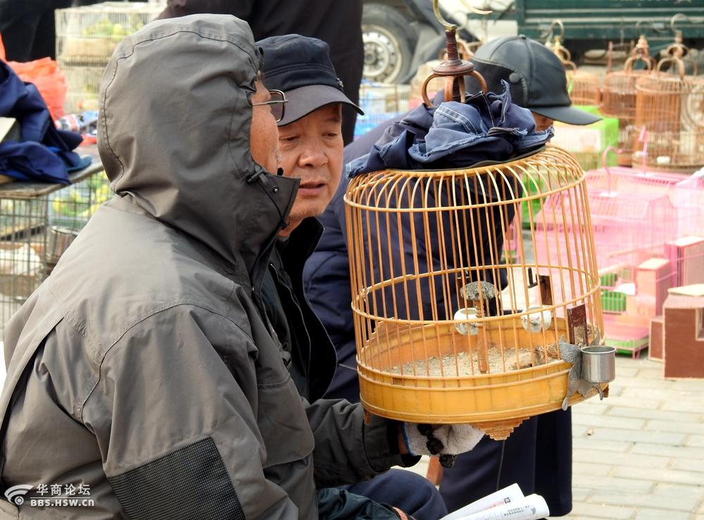 集市抓拍养鸟人