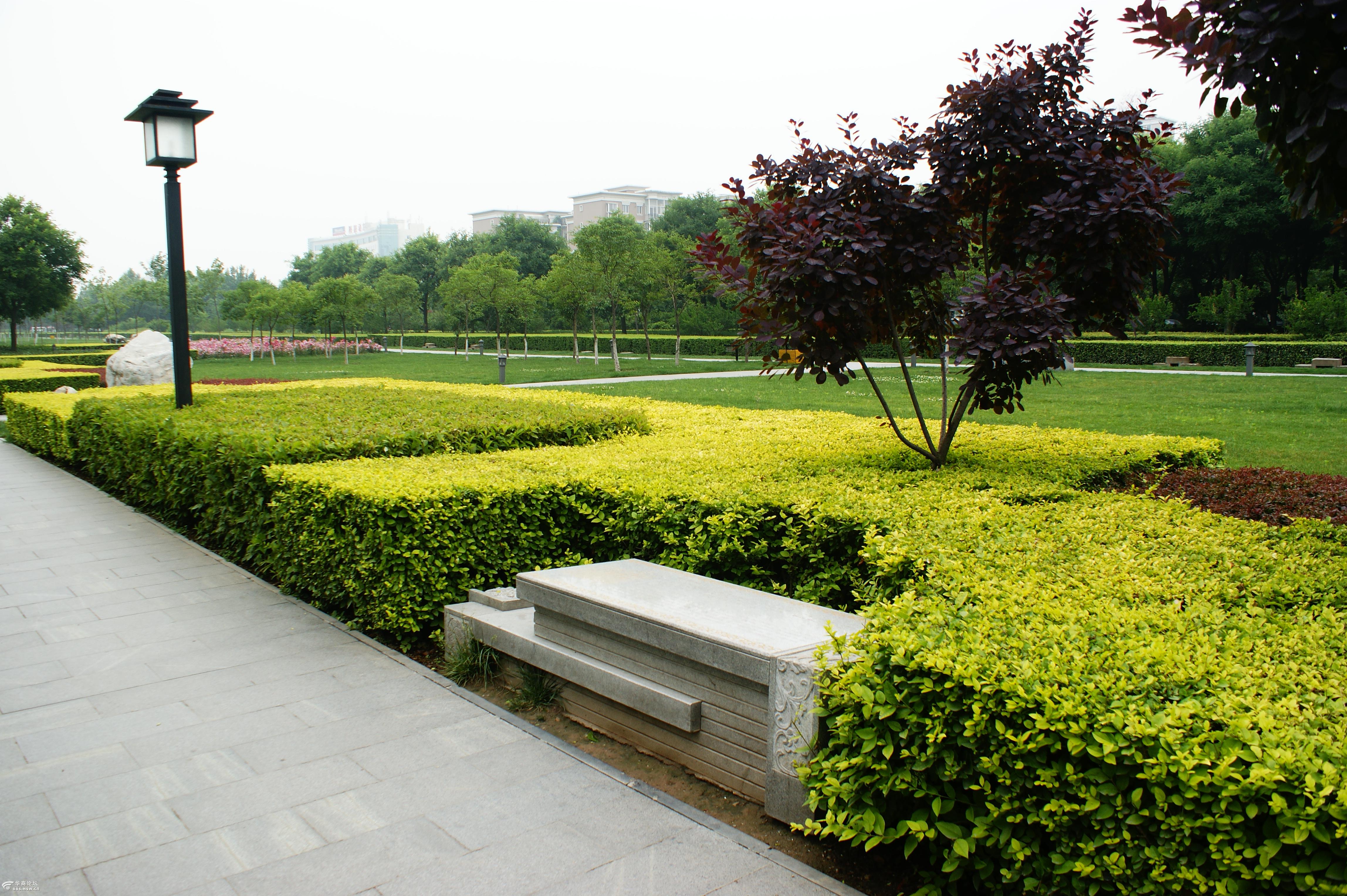 高新区唐城墙遗址公园街景不错