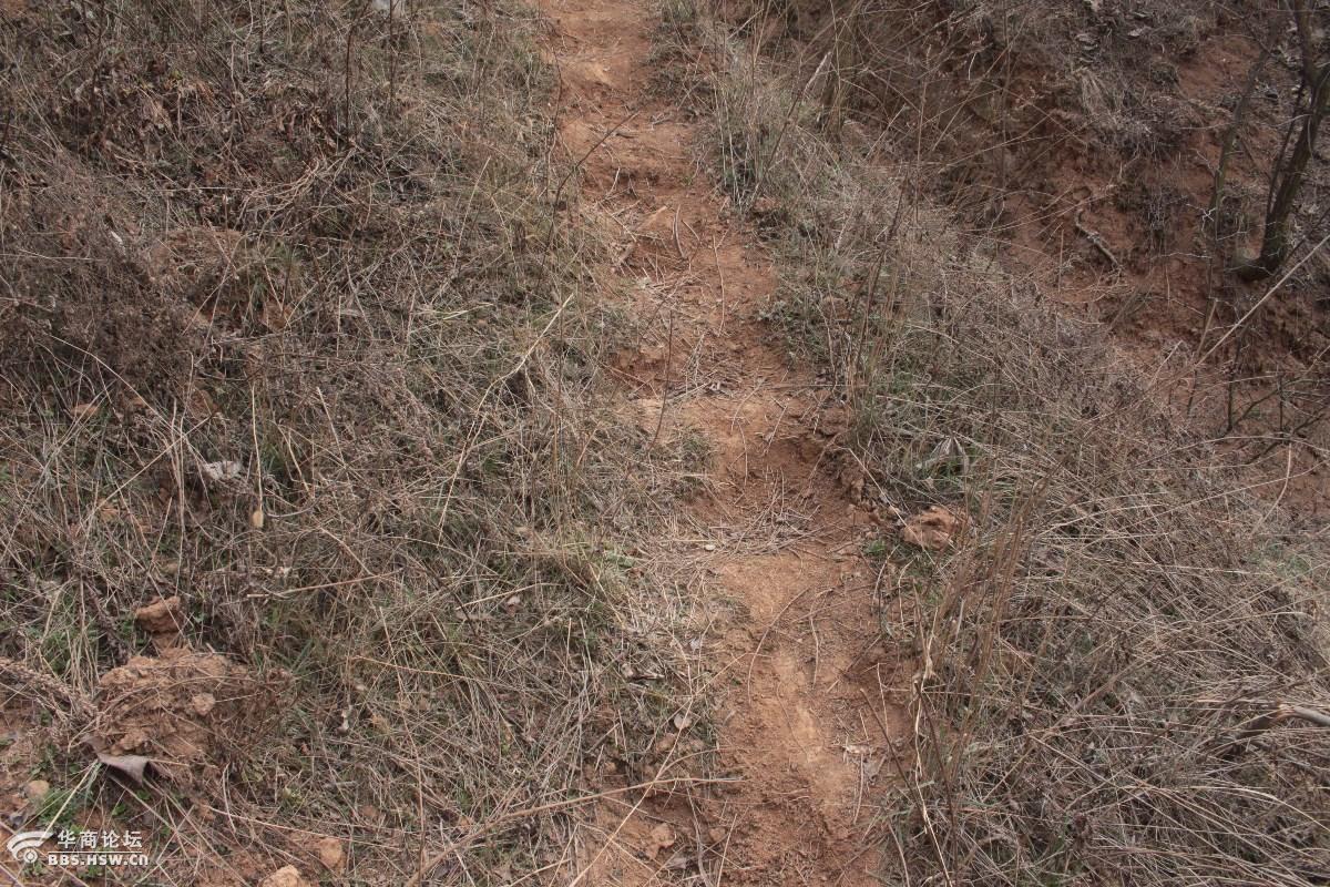 野趣:沟坎【泄湖镇】