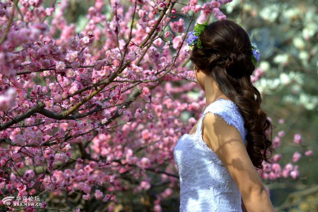 玉兰花美女植物园