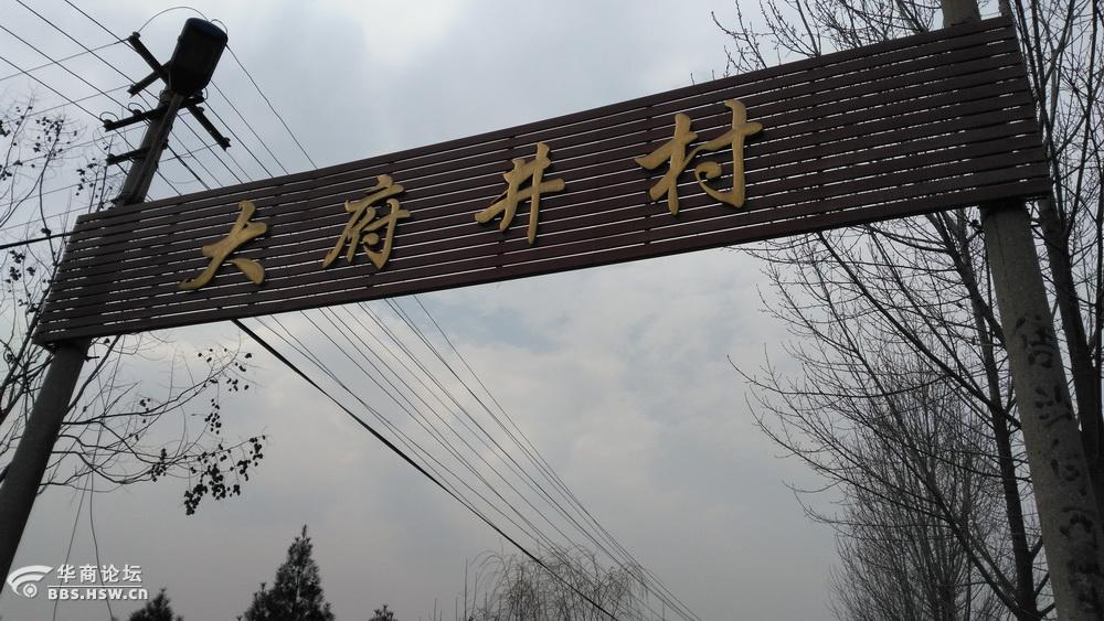 大府井村秦王陵下盛开樱桃花