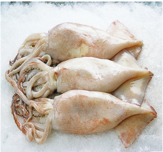 东港野生大鱿鱼肉肥味美哦