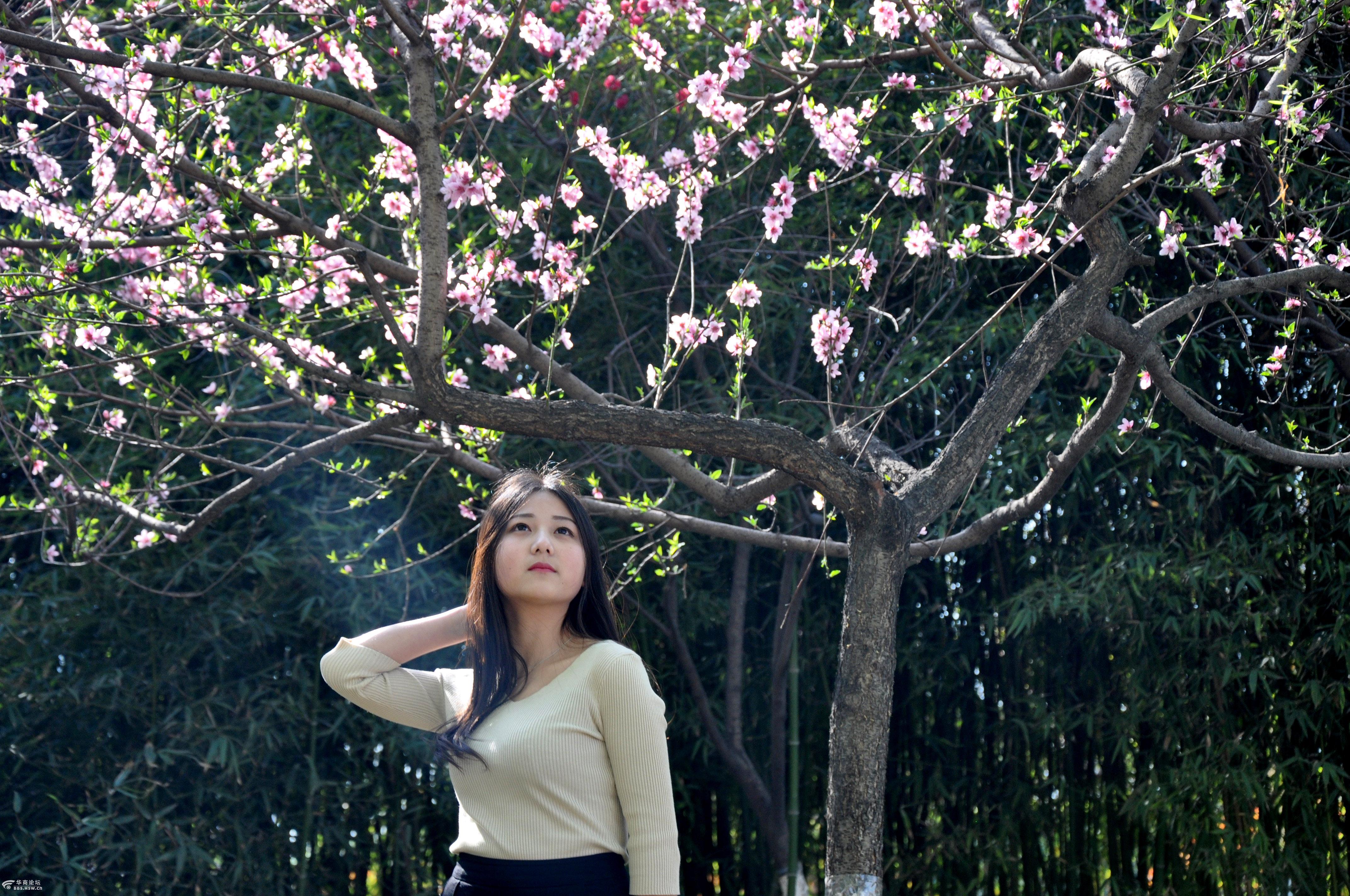 春天来到小雁塔拍美女