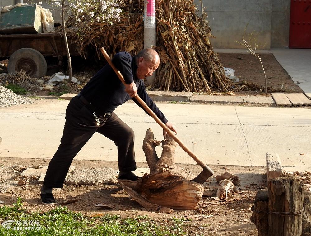 七旬农村老人劈柴不服老