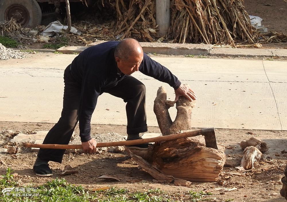 七旬农村老人劈柴不服老
