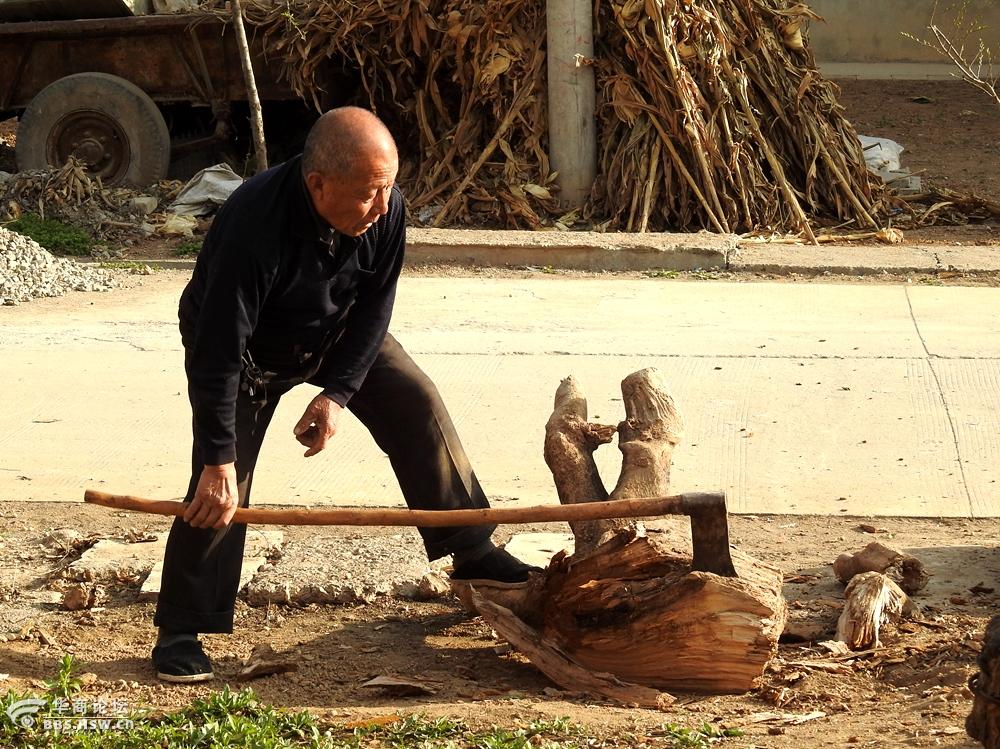 七旬农村老人劈柴不服老