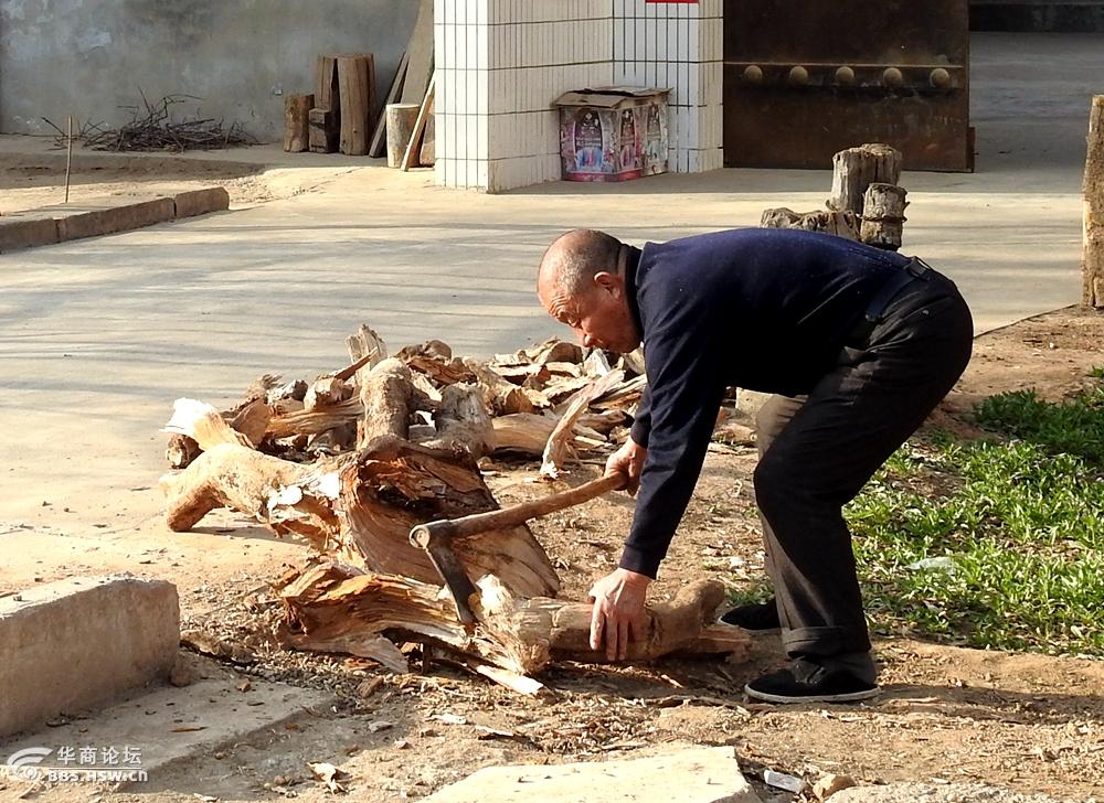 七旬农村老人劈柴不服老