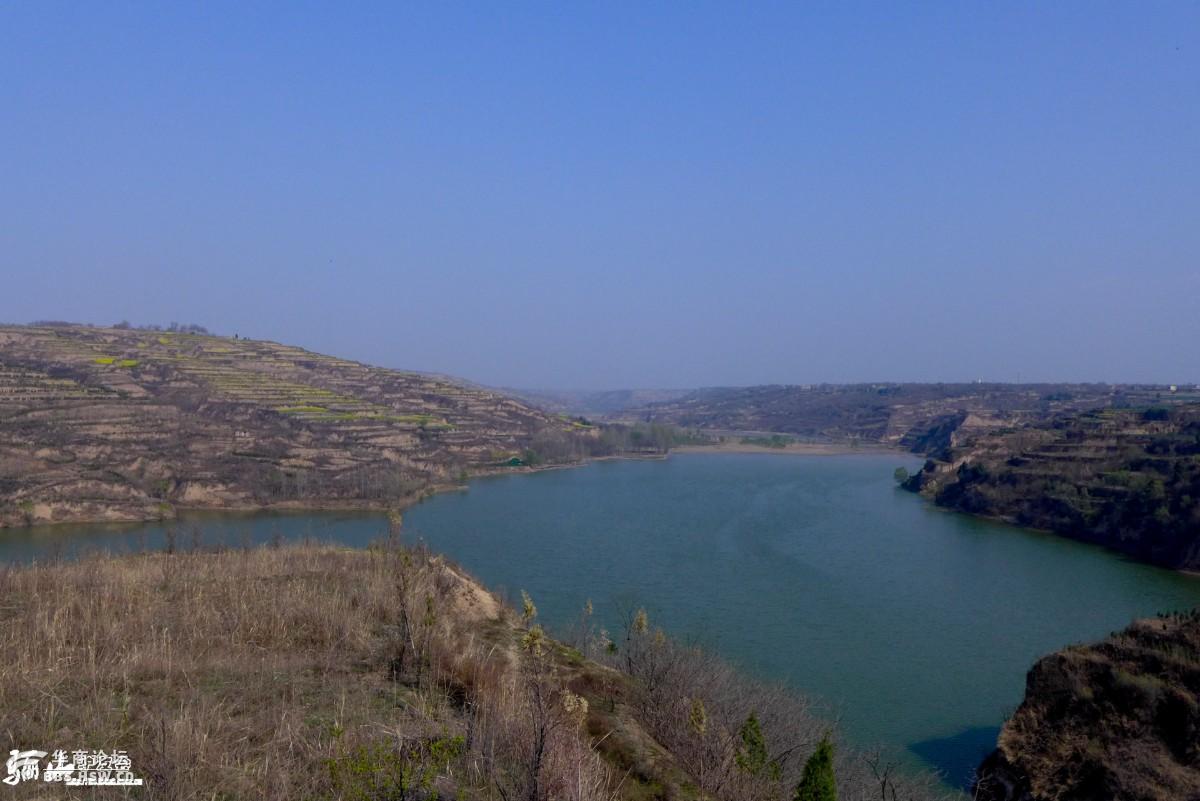 临潼零河水库的桃花油菜花