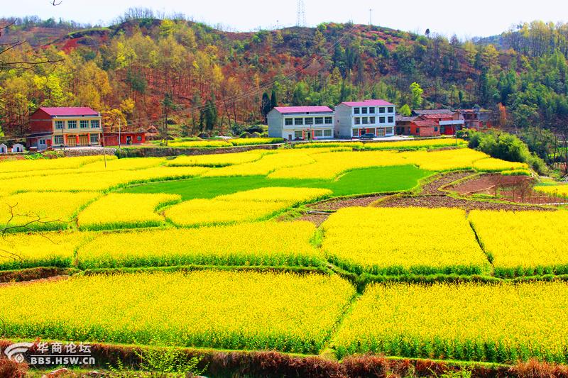 春天带你畅游蒲溪