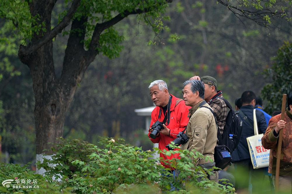 乱拍 兴庆宫春游乱拍 我是第一时间 威望  1 2016-04-05 精彩 苏南人