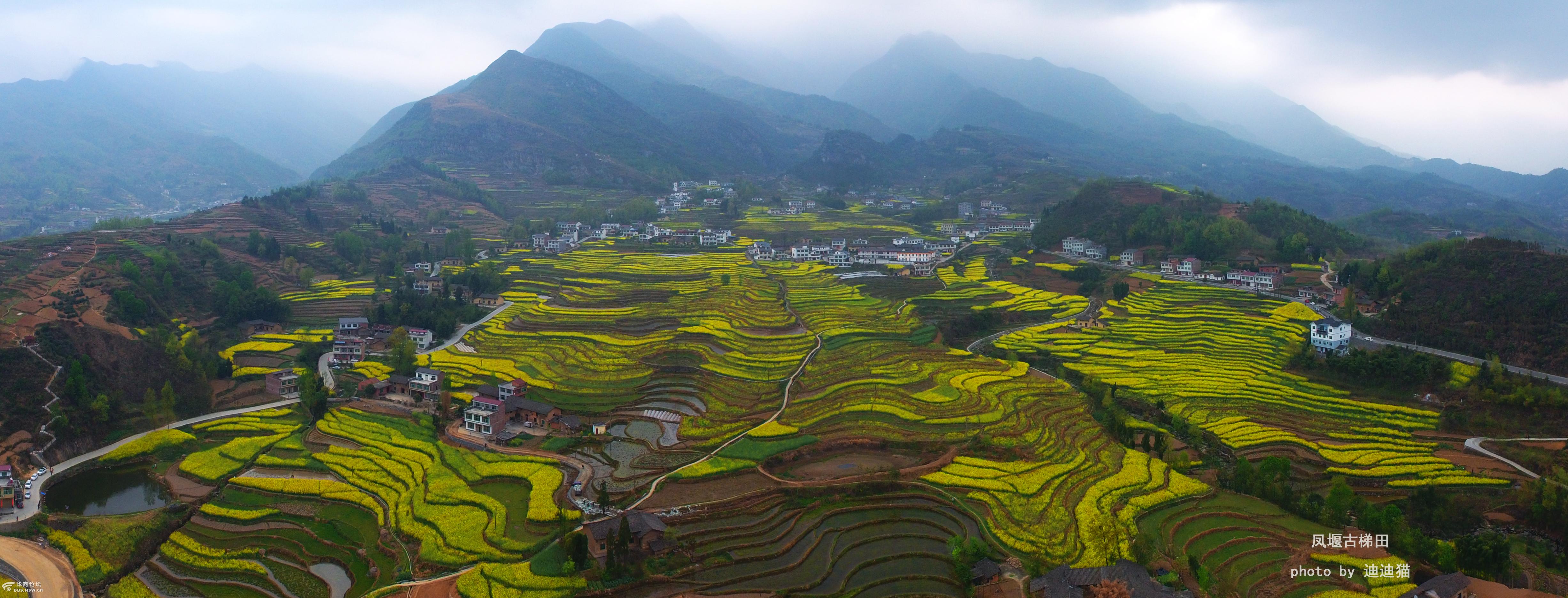 说走就走清明小假期乱拍凤堰古梯田