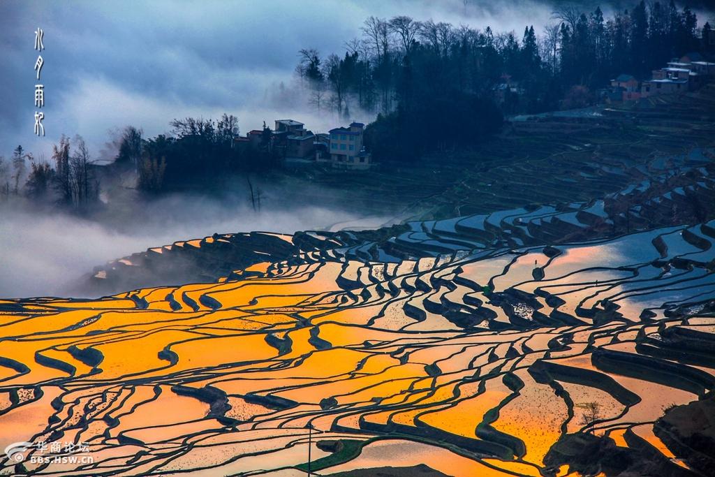 元阳梯田主景区:老虎嘴,坝达,多依树,箐口,爱春梯田看了就想去.