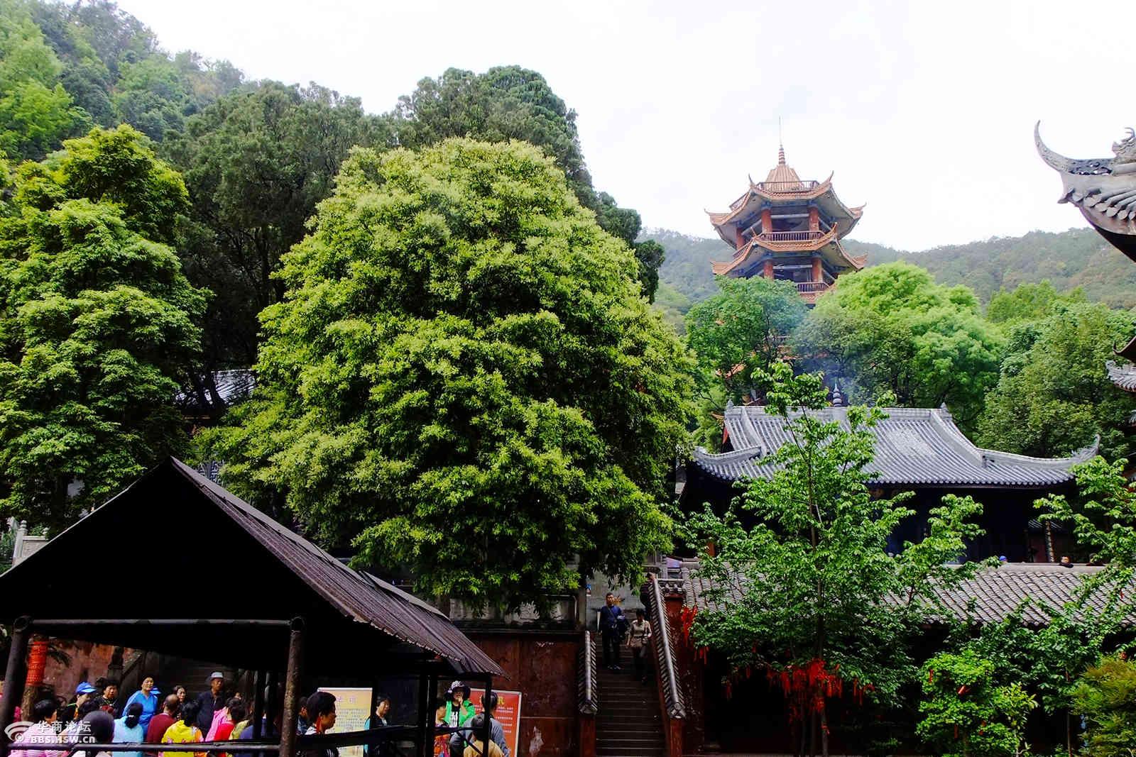 川南胜境泸山光福寺-旅游论坛-华商论坛