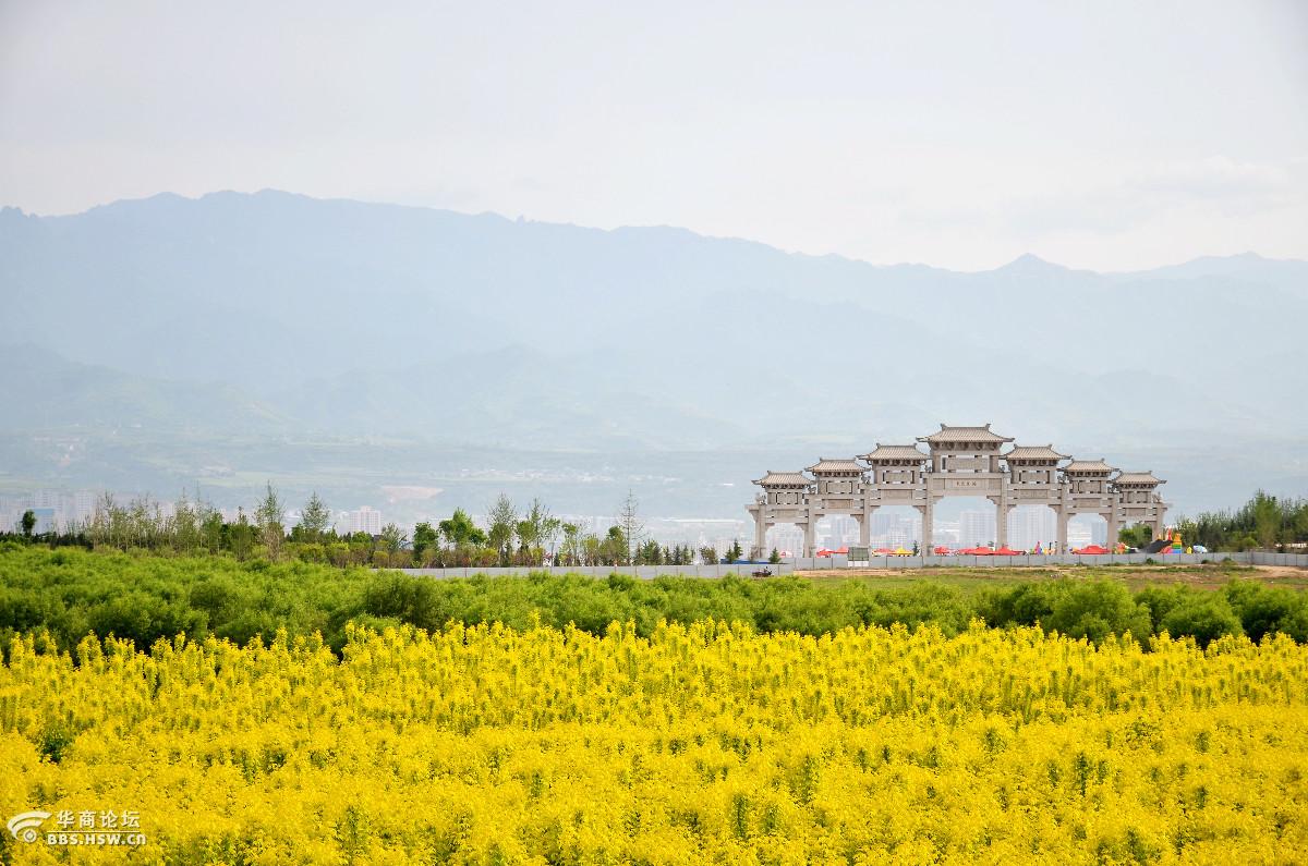蟠龙塬上有美景-宝鸡论坛-华商论坛