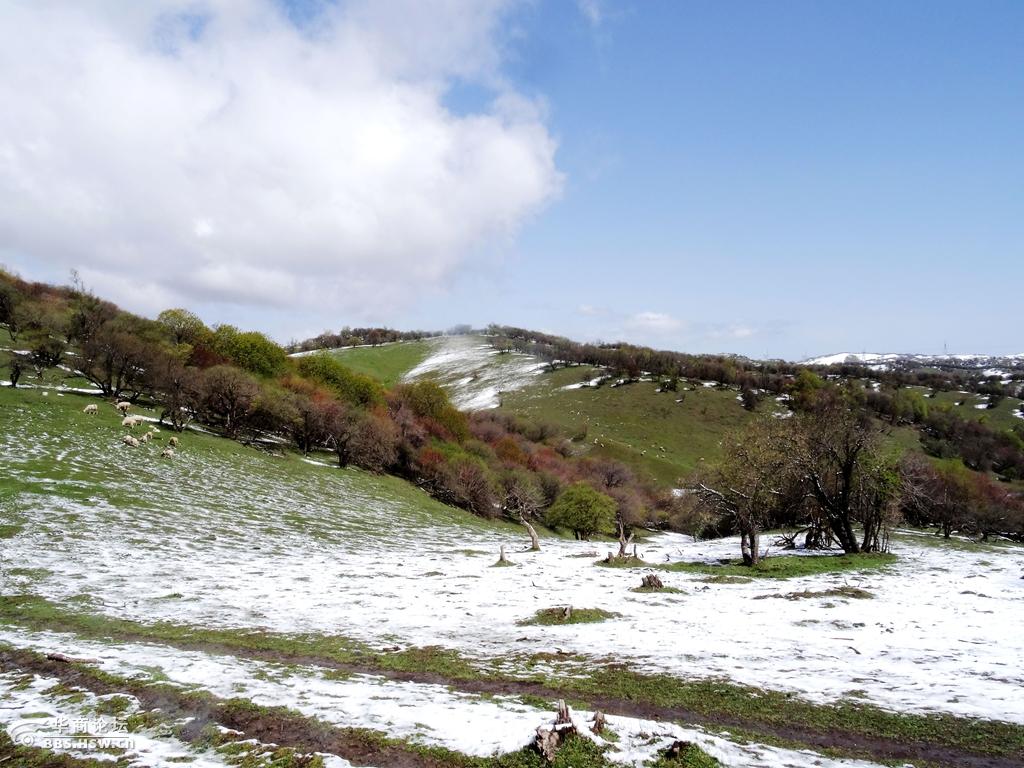 陇县老爷岭风光