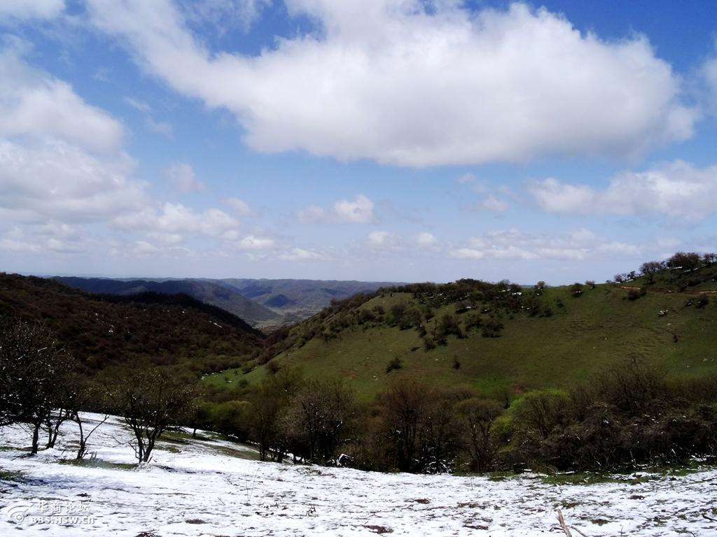 陇县老爷岭风光