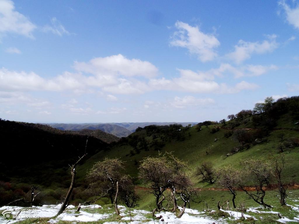 陇县老爷岭风光