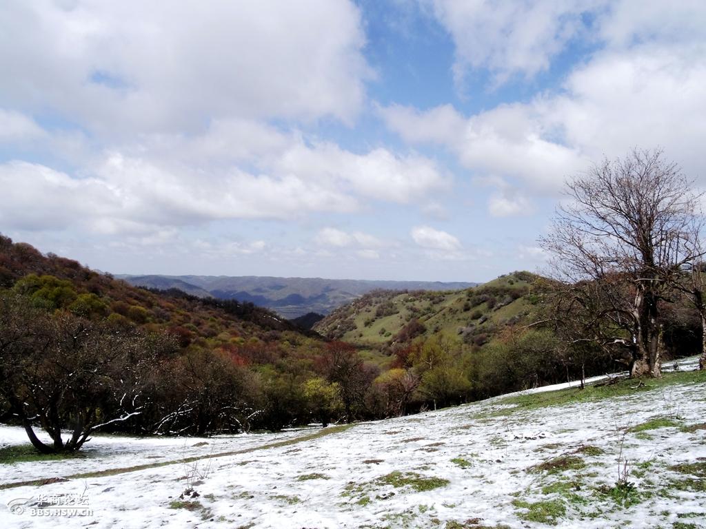 陇县老爷岭风光