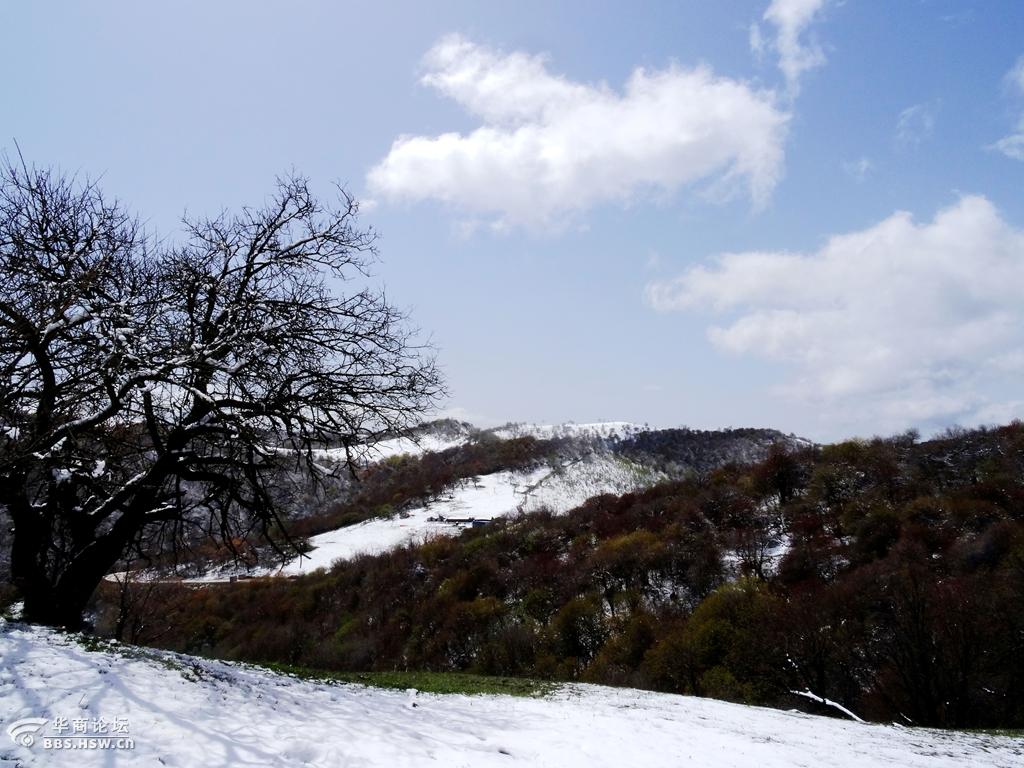 陇县老爷岭风光