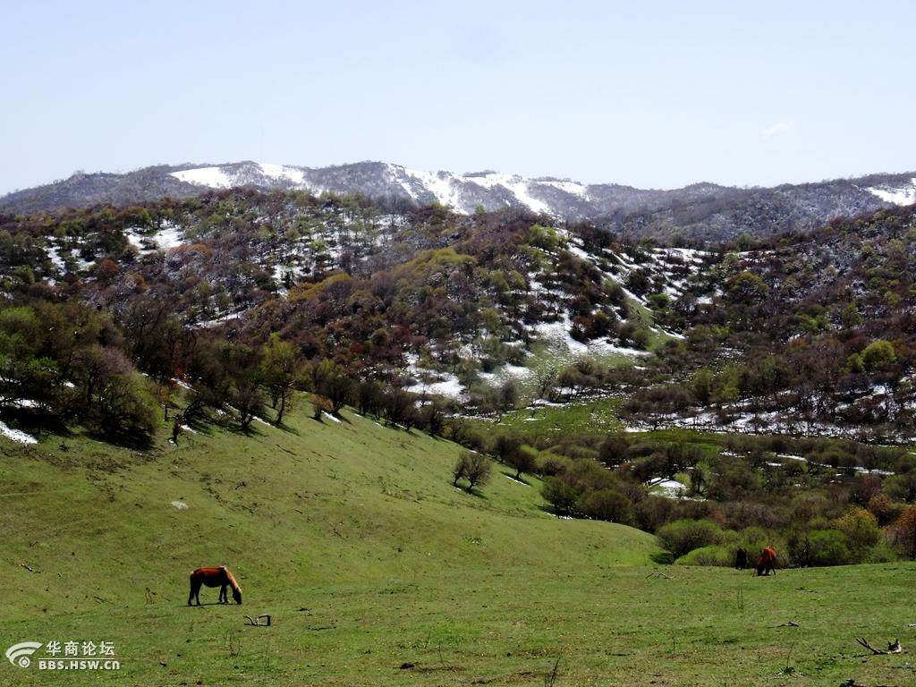 陇县老爷岭风光