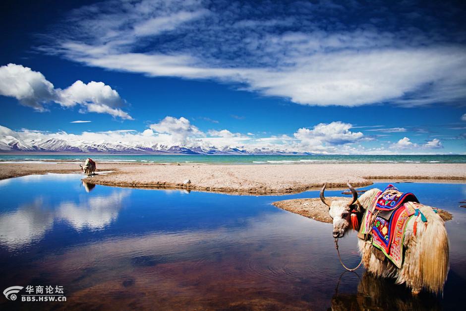 冰雪奇迹——西藏