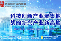 西咸新区沣西新城