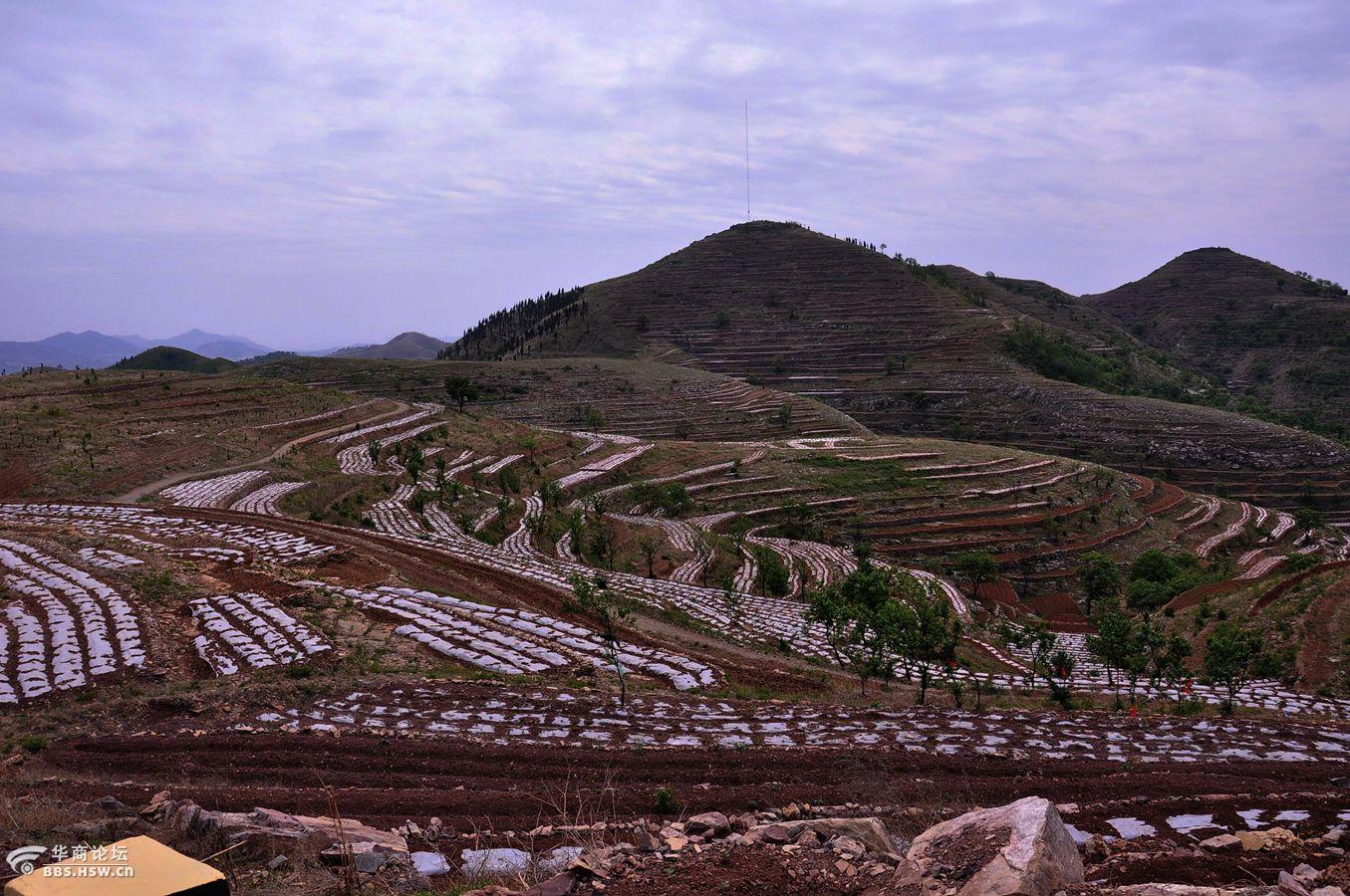 新泰龙廷观梯田