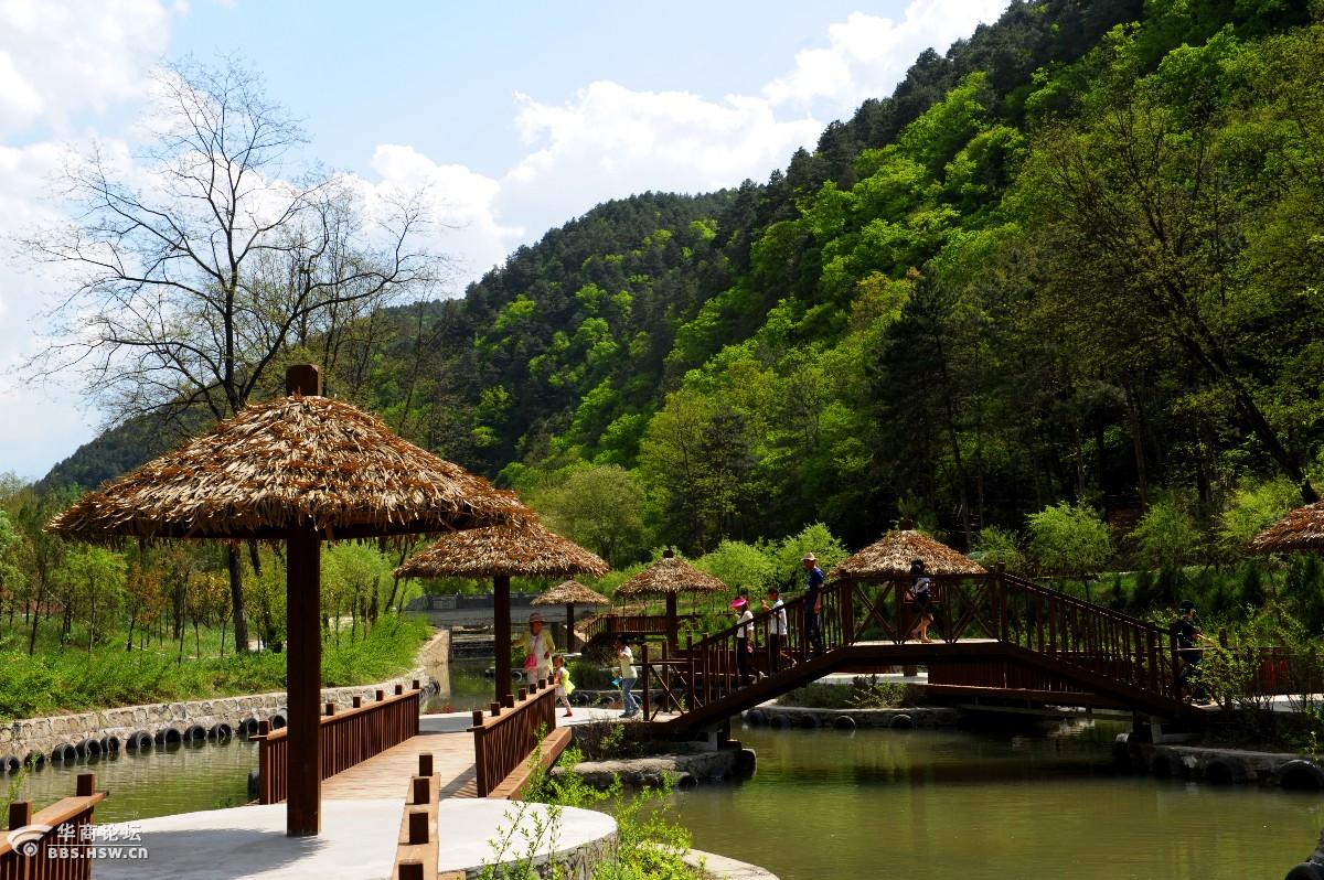 黄陵国家森林公园一