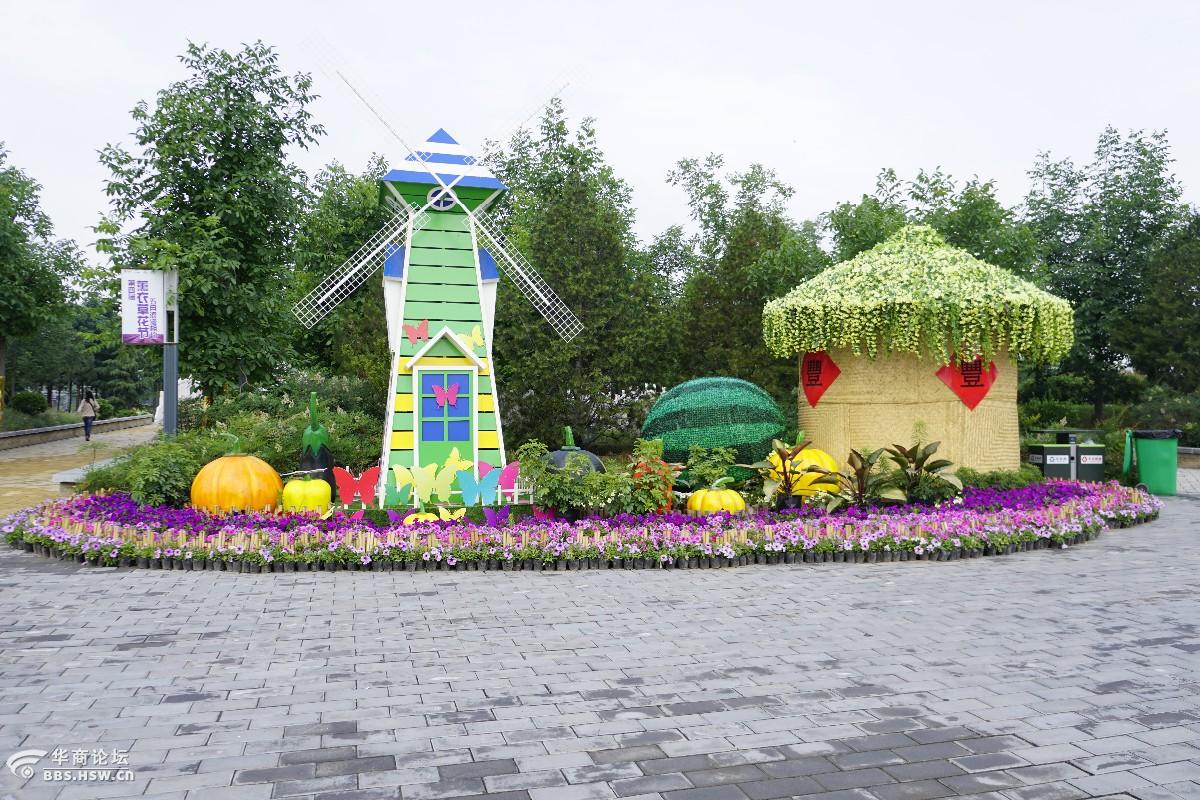 探寻沣东记忆姹紫嫣红之沣东农博园