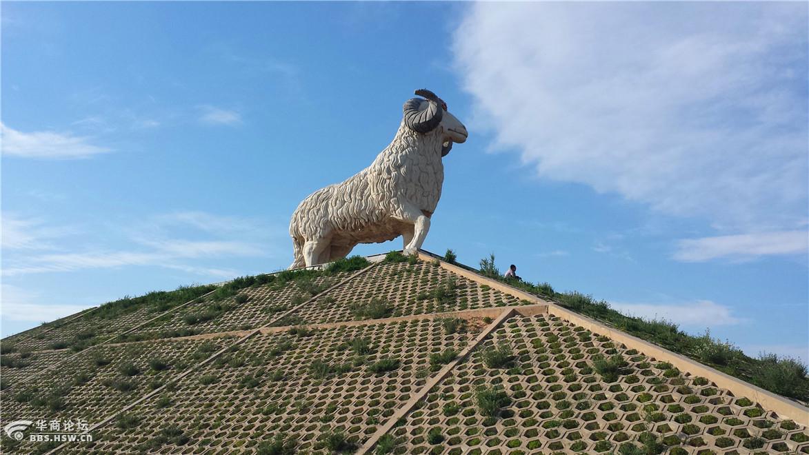 宁夏盐池县花马池风光